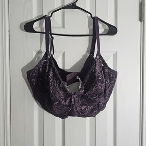 Delimira plum lace bra nwt